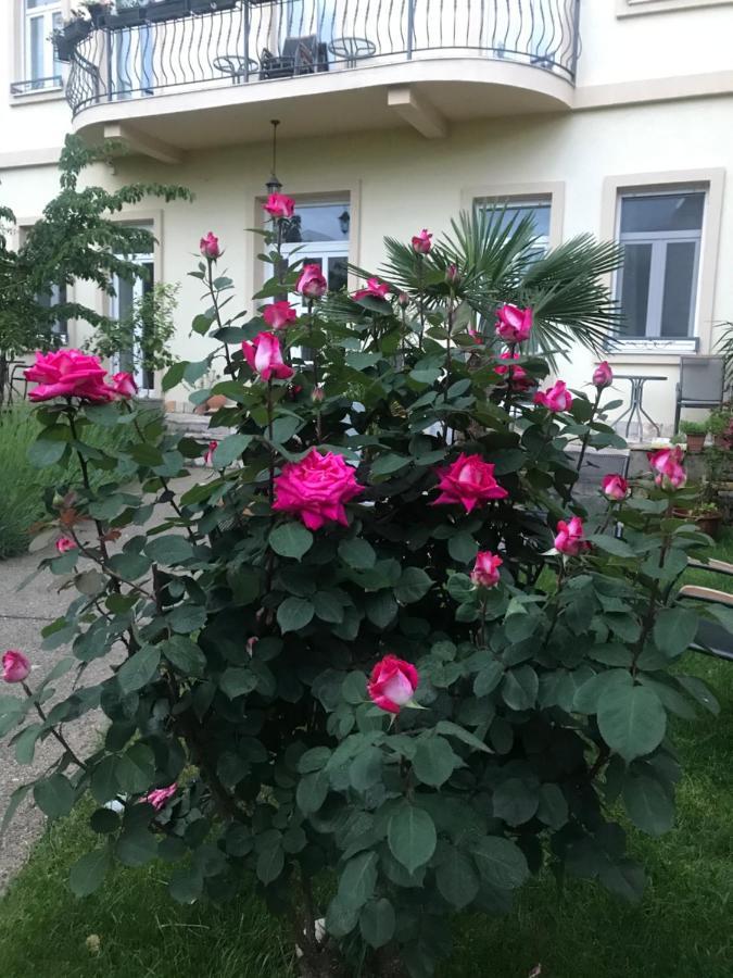 Aurelia Rooms Μόσταρ Εξωτερικό φωτογραφία