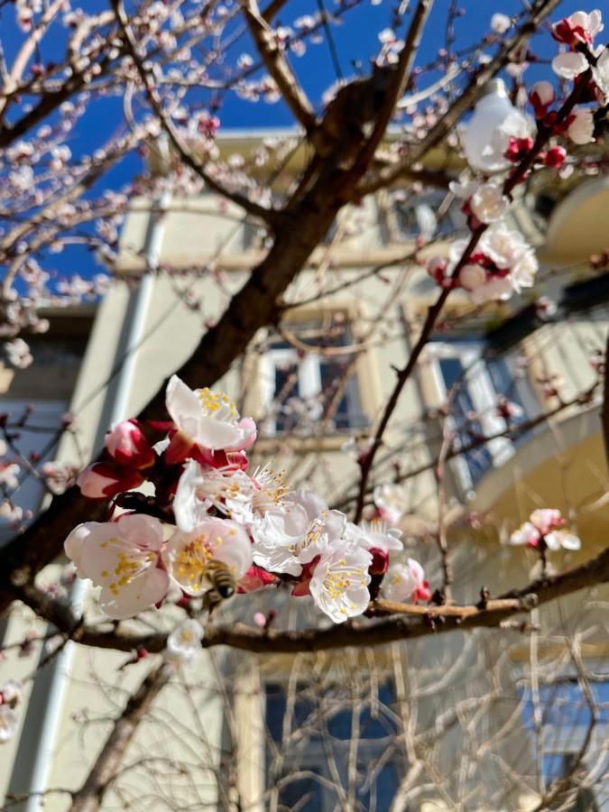 Aurelia Rooms Μόσταρ Εξωτερικό φωτογραφία